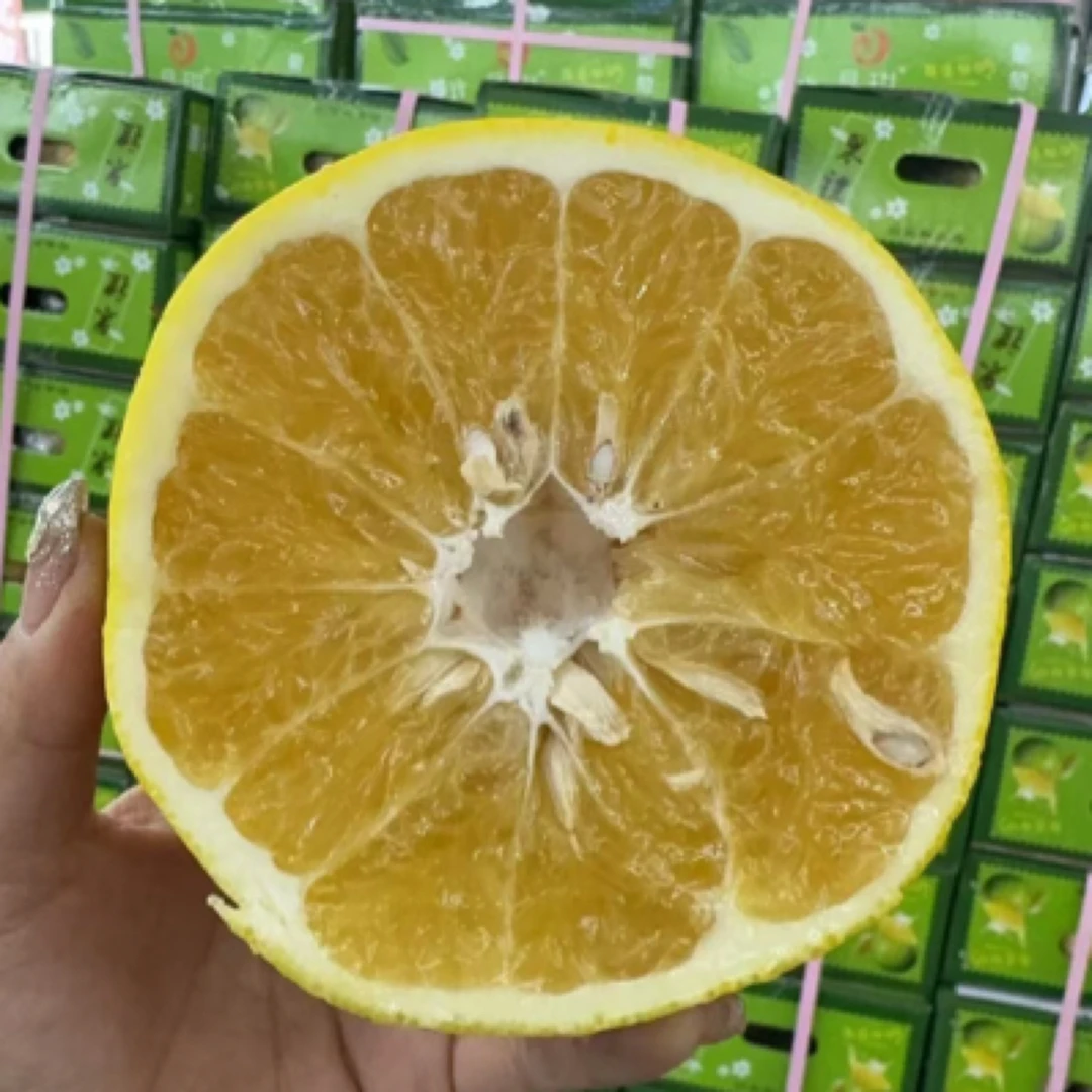 葡萄柚