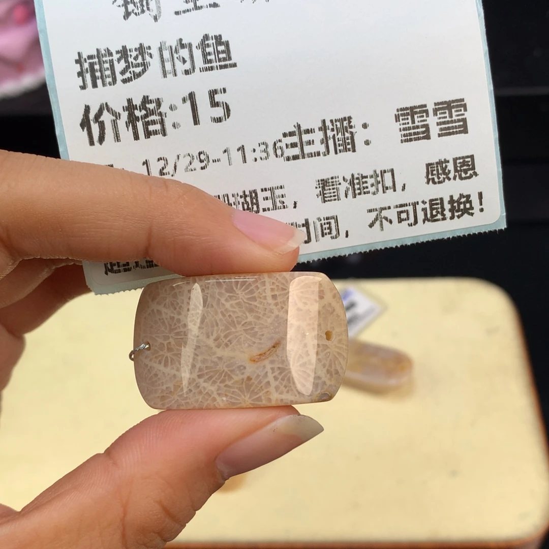 捕***鱼硅化珊瑚（珊瑚玉）未镶嵌吊坠(赠链)