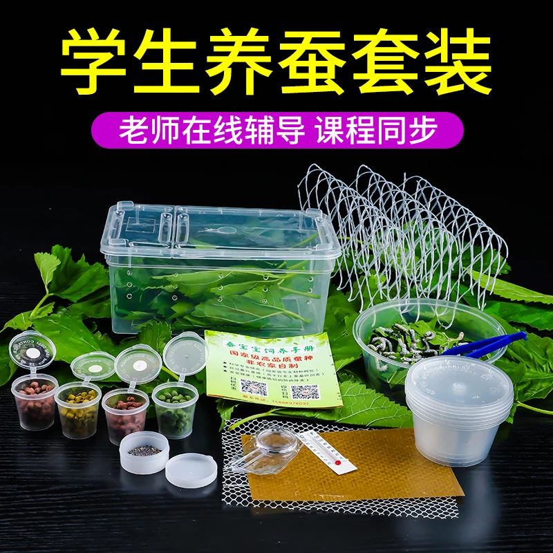 蚕宝宝幼苗学生养蚕套装蚕卵七彩金丝养蚕工具小学生专用