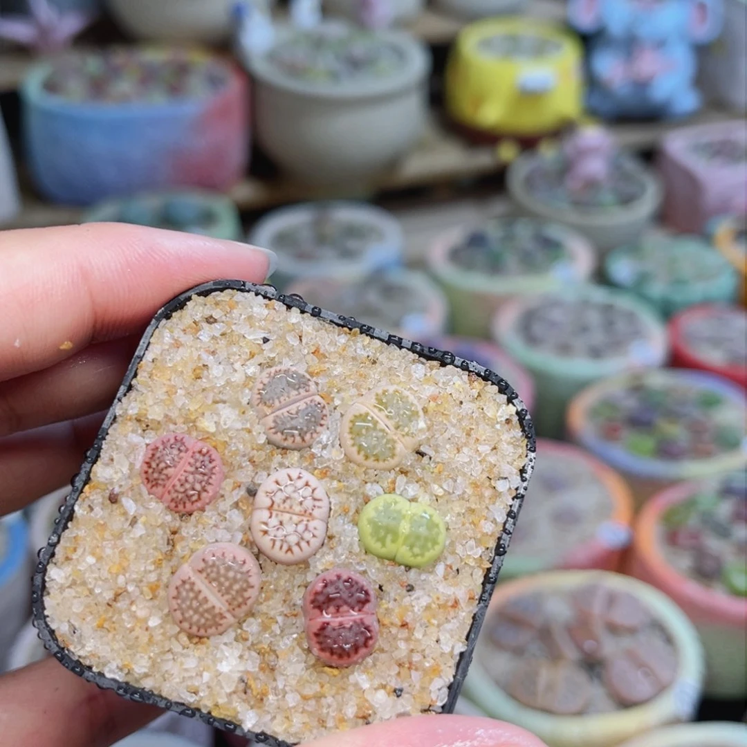 288。888888888888888