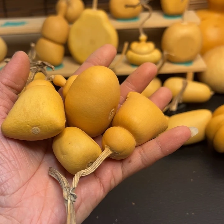 ?*.葫芦葫芦葫芦葫芦葫芦葫芦