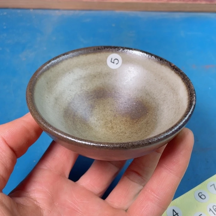 茶宠盏盏灯都是我喜欢你的理由