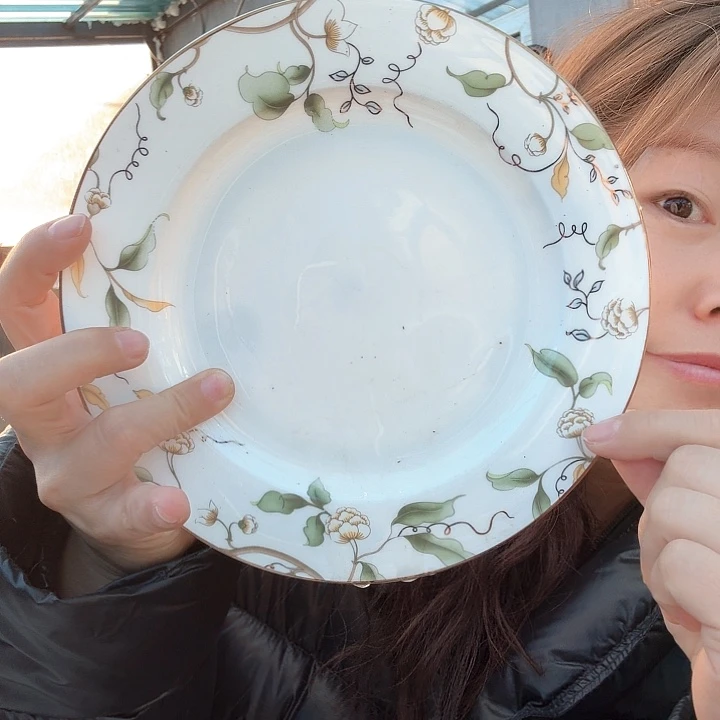 骨瓷藤上花盘子微瑕