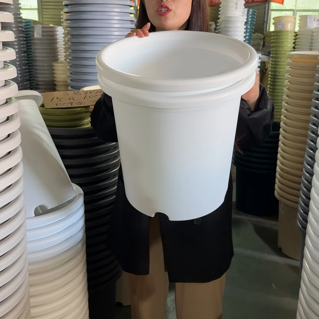 四季8#无拖纯白3个