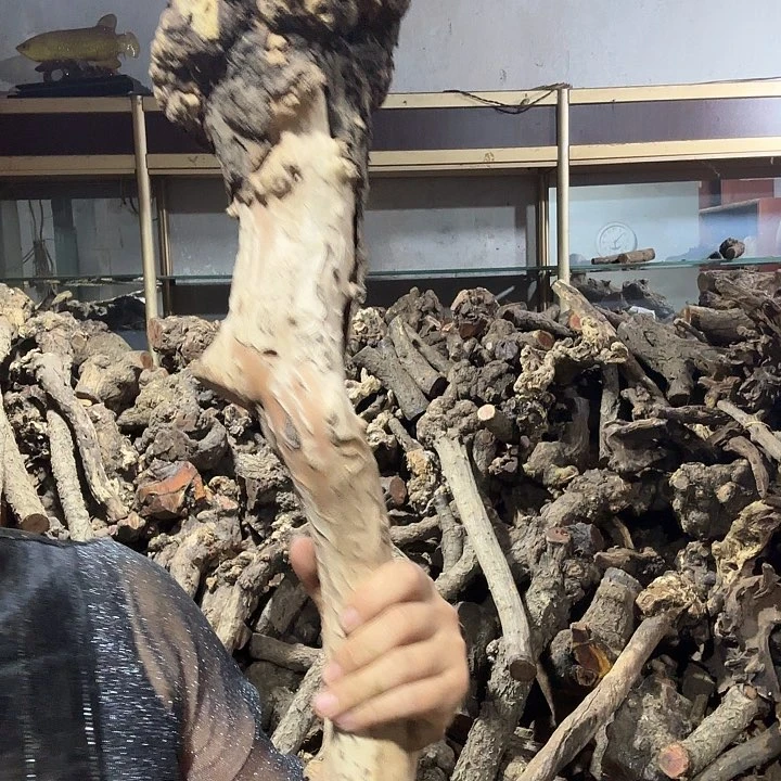 来***方香榧木火琉璃的故事是一个