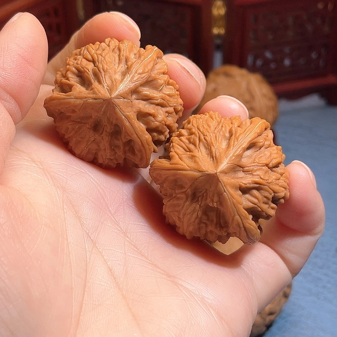?*36御龙粗筋三棱，全品