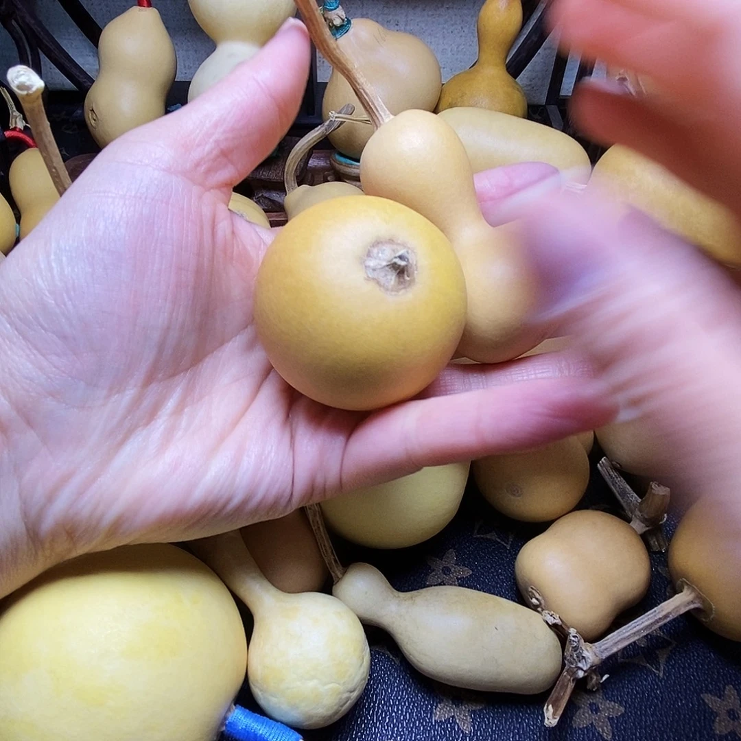 烟***扬苹果 感叹号 手把 把玩