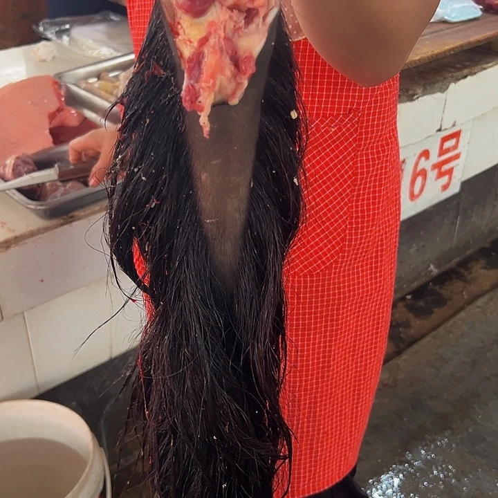 广西土耕马马肉、沙姜炒马肉中国大陆