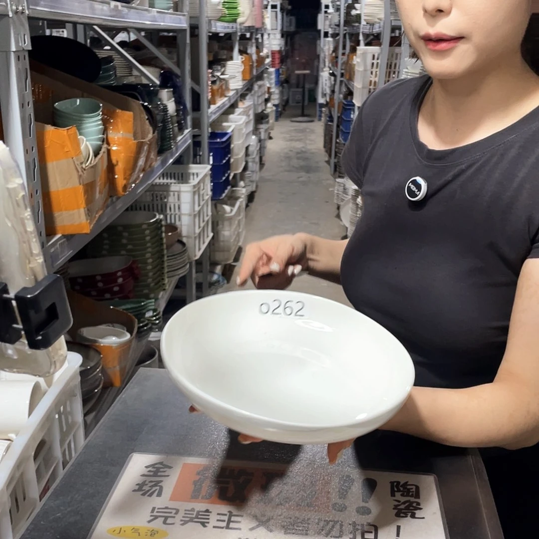 瓷片262               2个