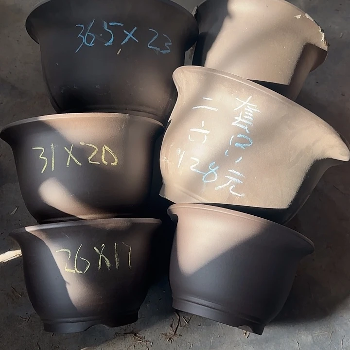 两套六只福利价