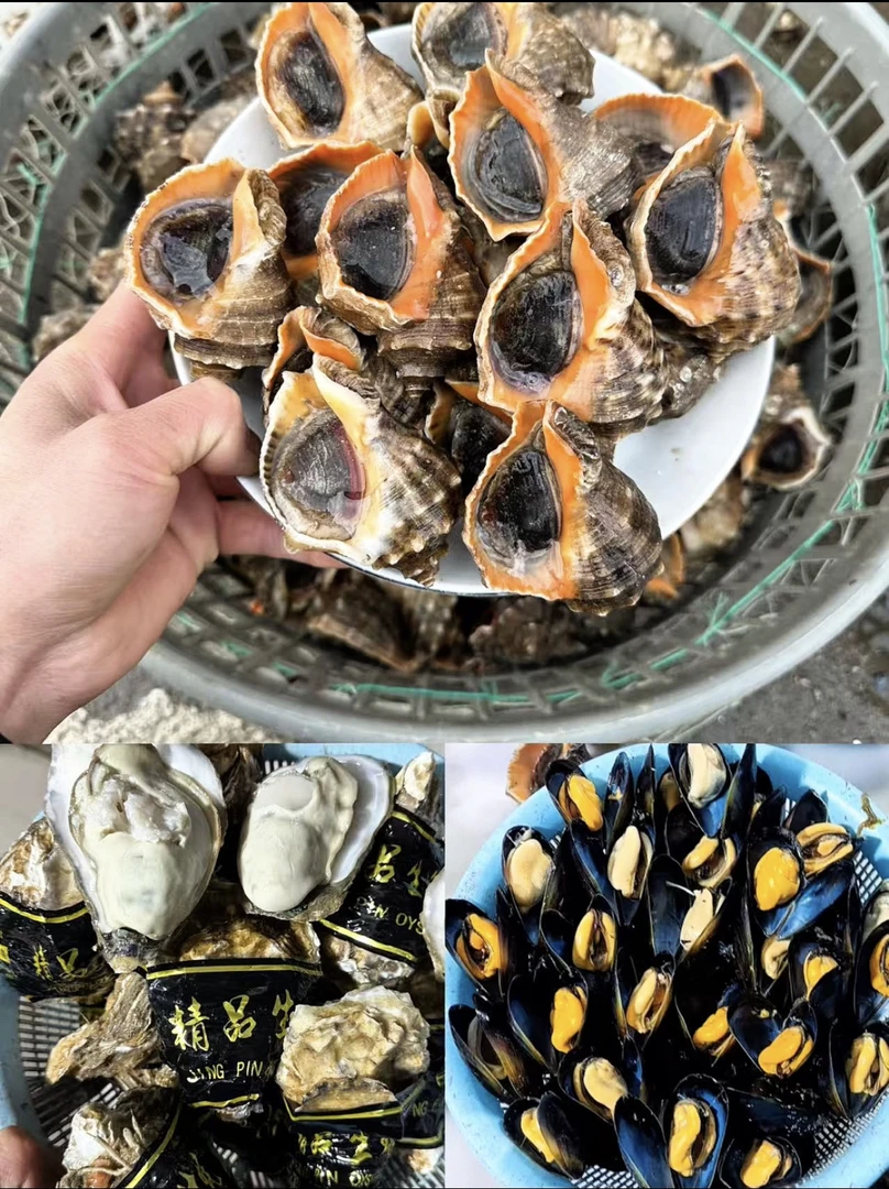 精选海鲜贝类套餐海螺2斤海虹2斤小生蚝3斤(三种贝类共7斤)