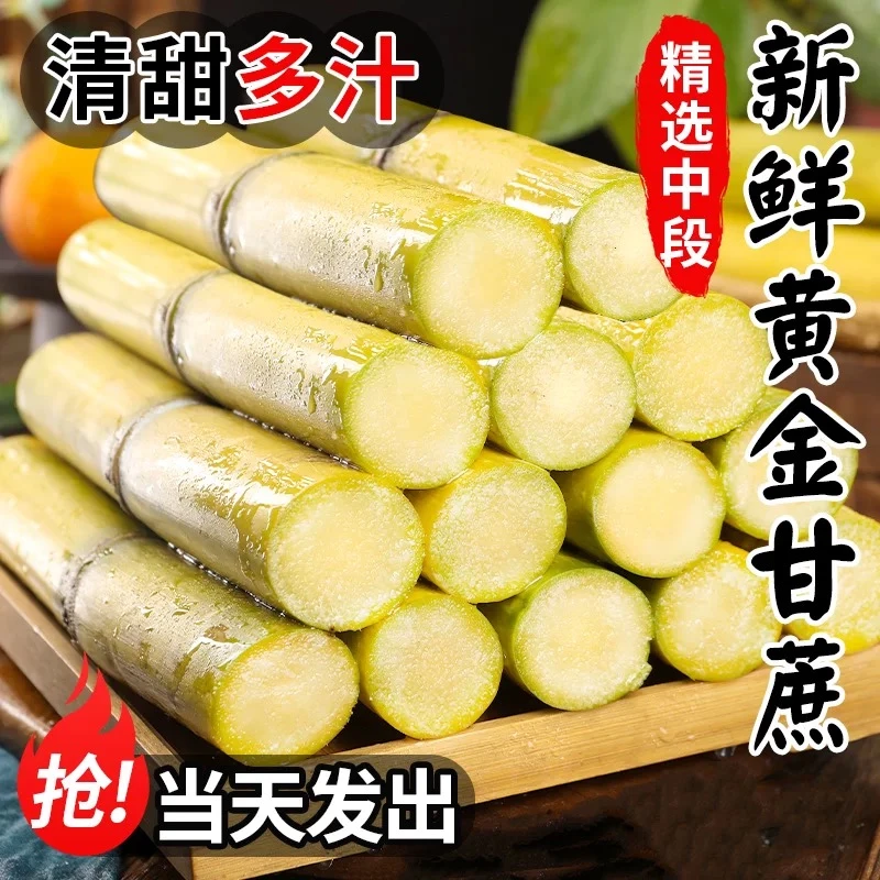 2026年云南黄金甘蔗新鲜脆甜多汁皮薄无渣易剥皮松脆不硬新鲜现发