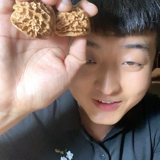 【闪购商品】文玩核桃吊坠鬼甲纹