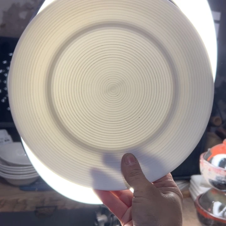 库存尾货骨瓷哥本螺纹盘一对口径22