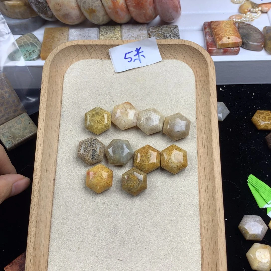 硅化珊瑚（珊瑚玉）无未镶嵌✨****✨