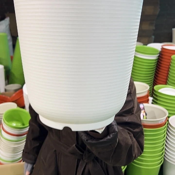 正品高陶口30高31白色无托3只