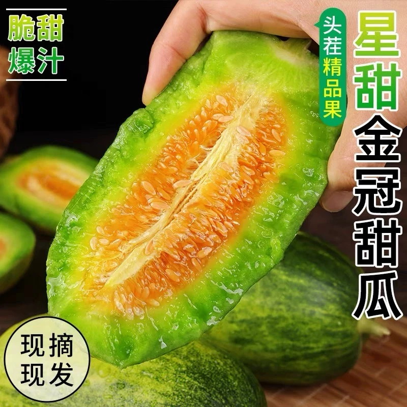 【顺丰包邮】王炸福利 金冠甜瓜3斤 ±0.2斤【次日达】新鲜山东省