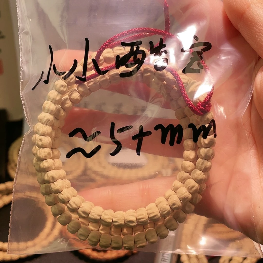 小**宝百香籽 玉莲花 5+mm左右 步步生莲