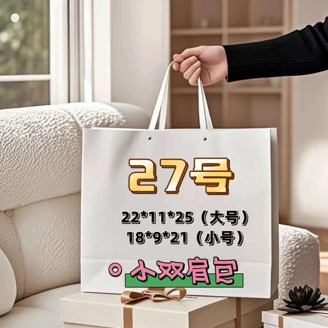 27号（1020）洋气气质百搭小书包双肩包