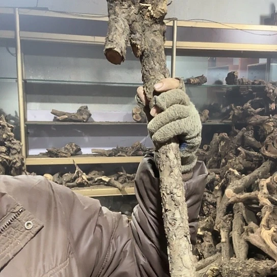香榧木落**悔火琉璃的故事毛料