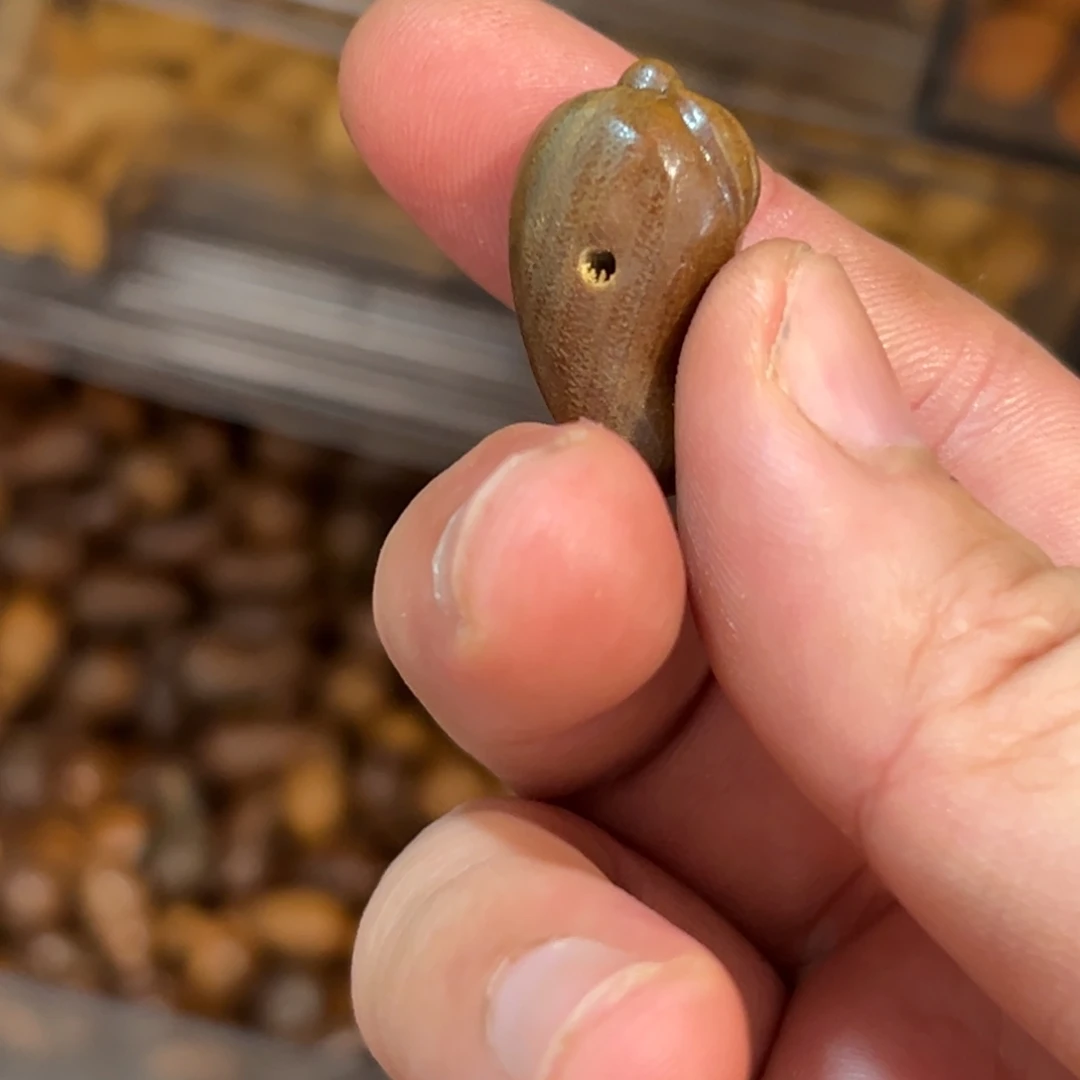 破布木（黄金檀）手串/手链