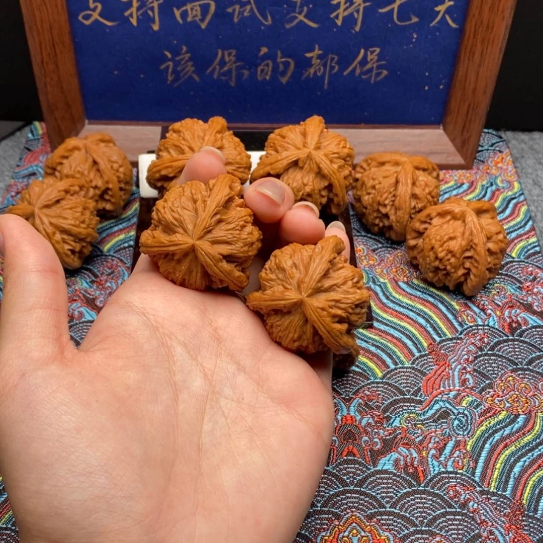 【闪购商品】逝**年白狮