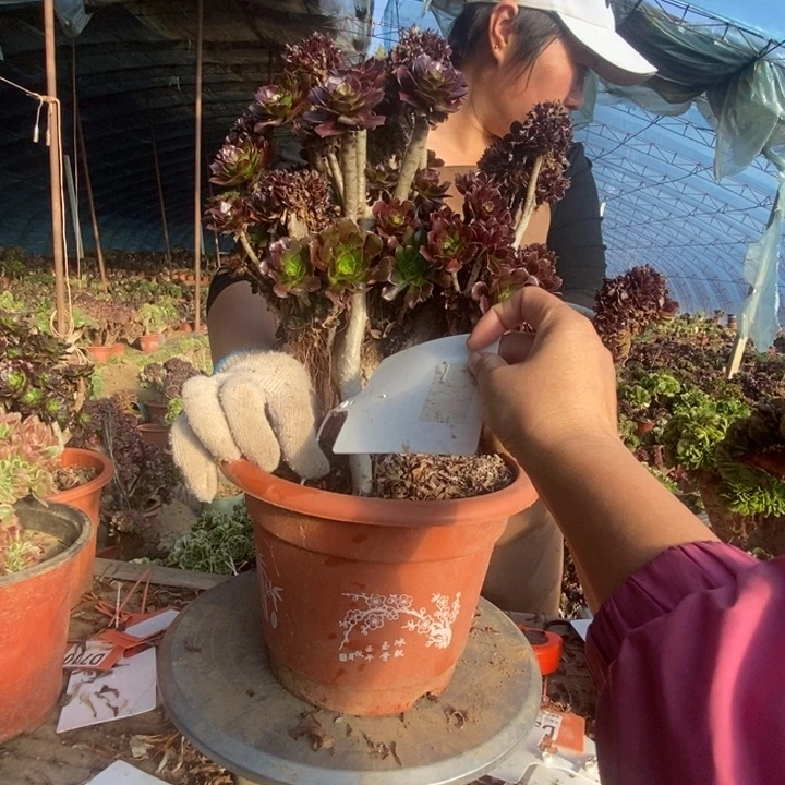 @***睛A845黑法师黑法师