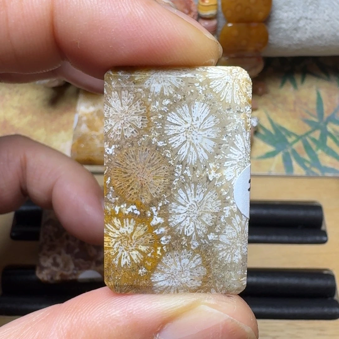 硅化玉赞比大花未镶嵌