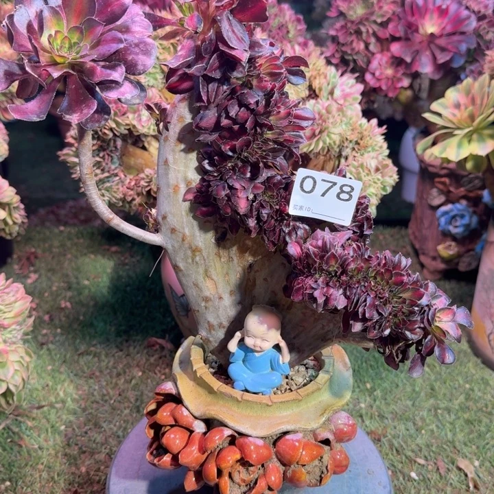 晚霞法师锦缀化法师锦