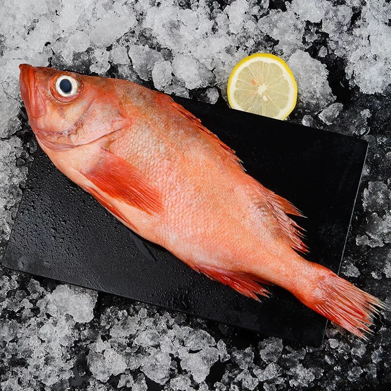 连云港 鲜活速冻4 深海红石斑鱼 300-400g/条
