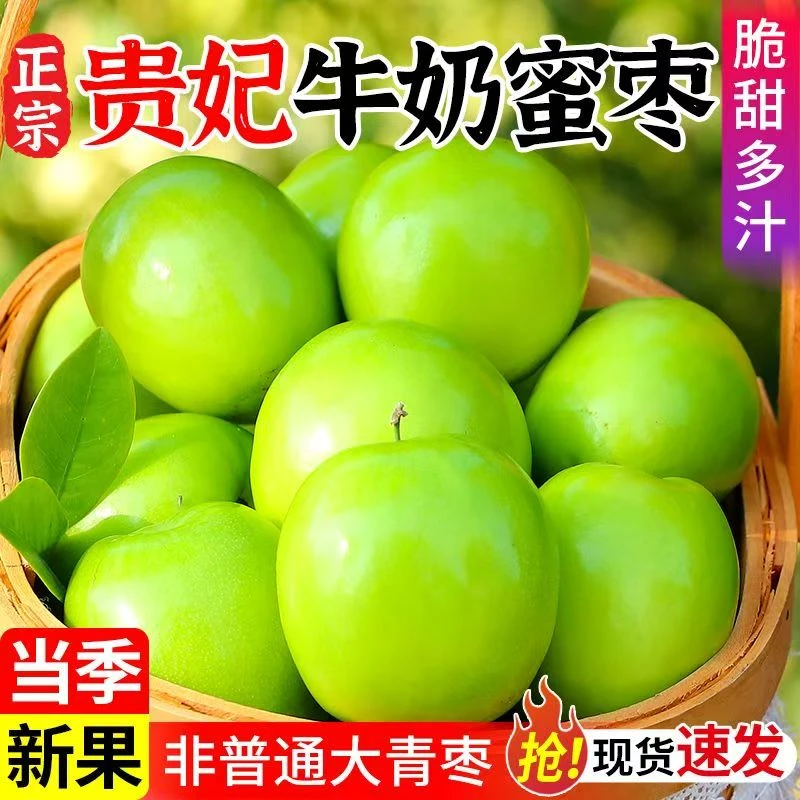 正宗贵妃牛奶枣贵妃蜜枣脆甜多汁新鲜应季水果非普通大青枣2斤3斤