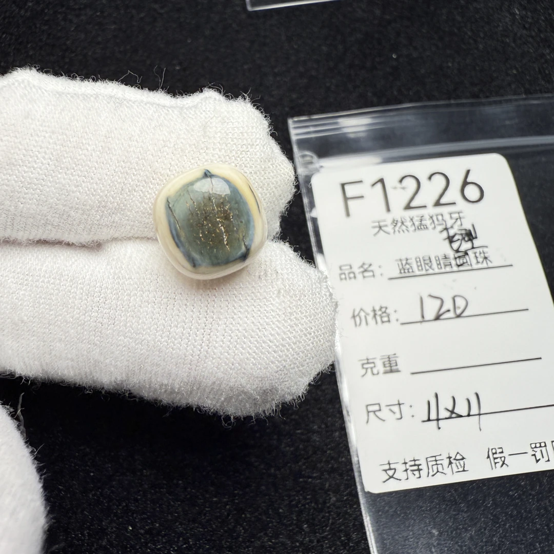 F1226天然猛犸象牙蓝皮老型桶珠墩子顶珠配珠配饰11*11mm