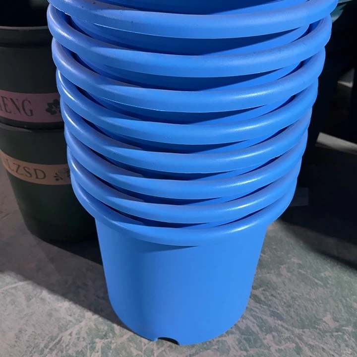 编号是013号的013号的