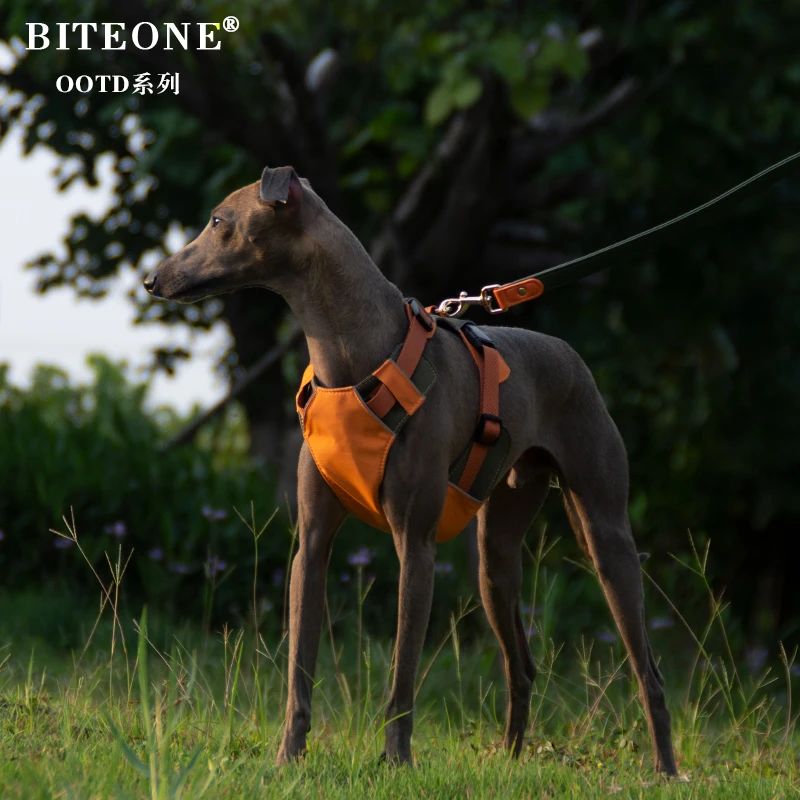 BITEONE【25014】狗狗外出超轻薄胸背