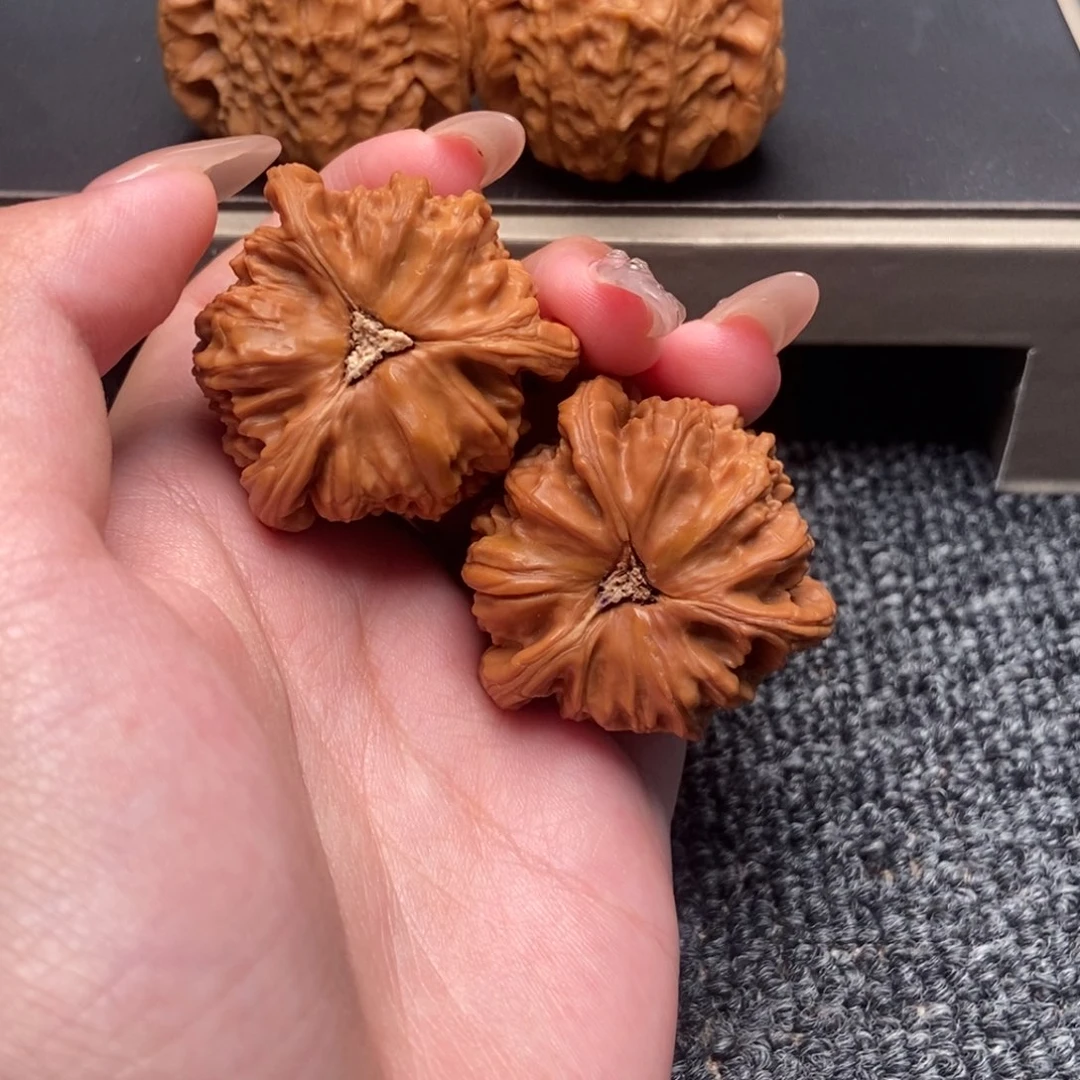 冬***木质类白狮子正奔