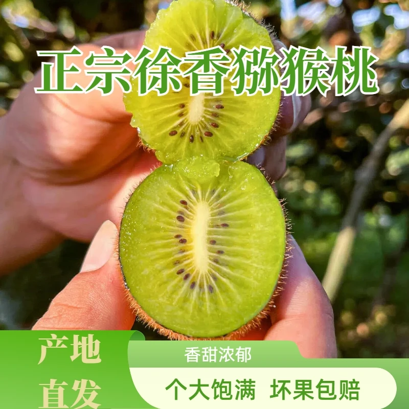 【催软食用】陕西正宗徐香绿心猕猴桃香甜多汁30枚家庭实惠装