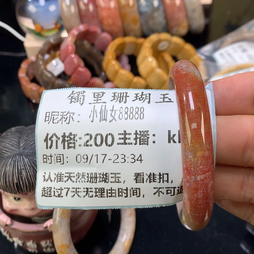 【闪购商品】颈饰未镶嵌硅化珊瑚（珊瑚玉）小****8