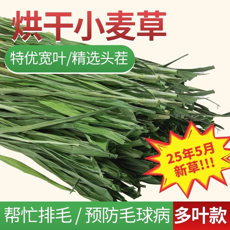 25年小麦草草烘干兔粮兔子饲料龙猫荷兰猪豚鼠牧草段兔子专用干草