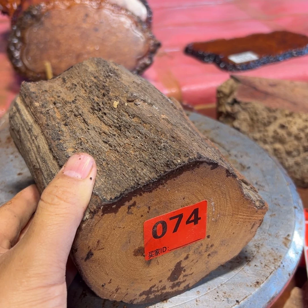 大果紫檀（缅甸花梨）