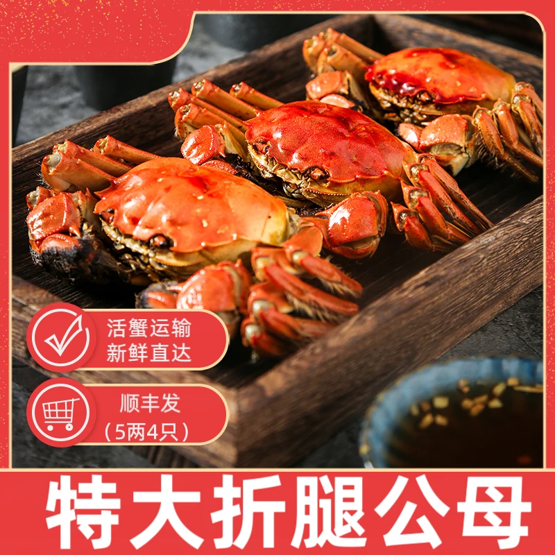 【活蟹】 兴化大闸蟹 公蟹5两起 母蟹4两起 4对一组 顺丰发货
