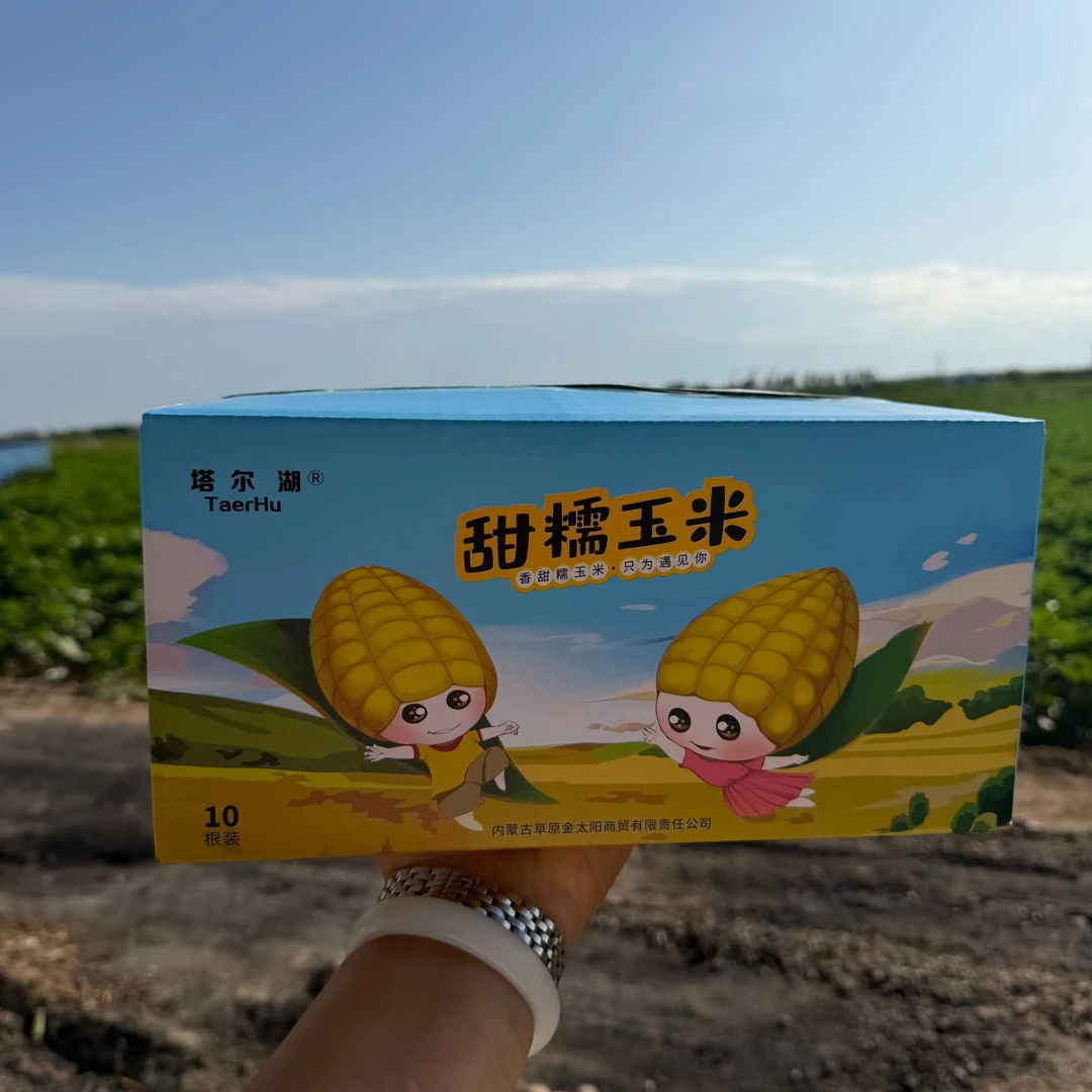 内蒙古玉米甜糯玉米 家庭箱装5斤左右清仓发货