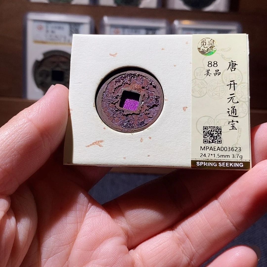 贝壳17 恭喜发财恭喜发财