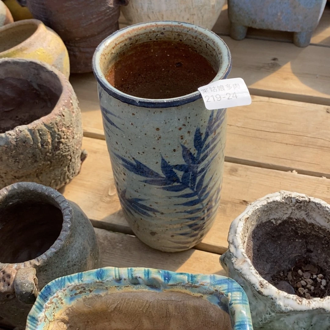 红陶多*24号多肉盆一个呀