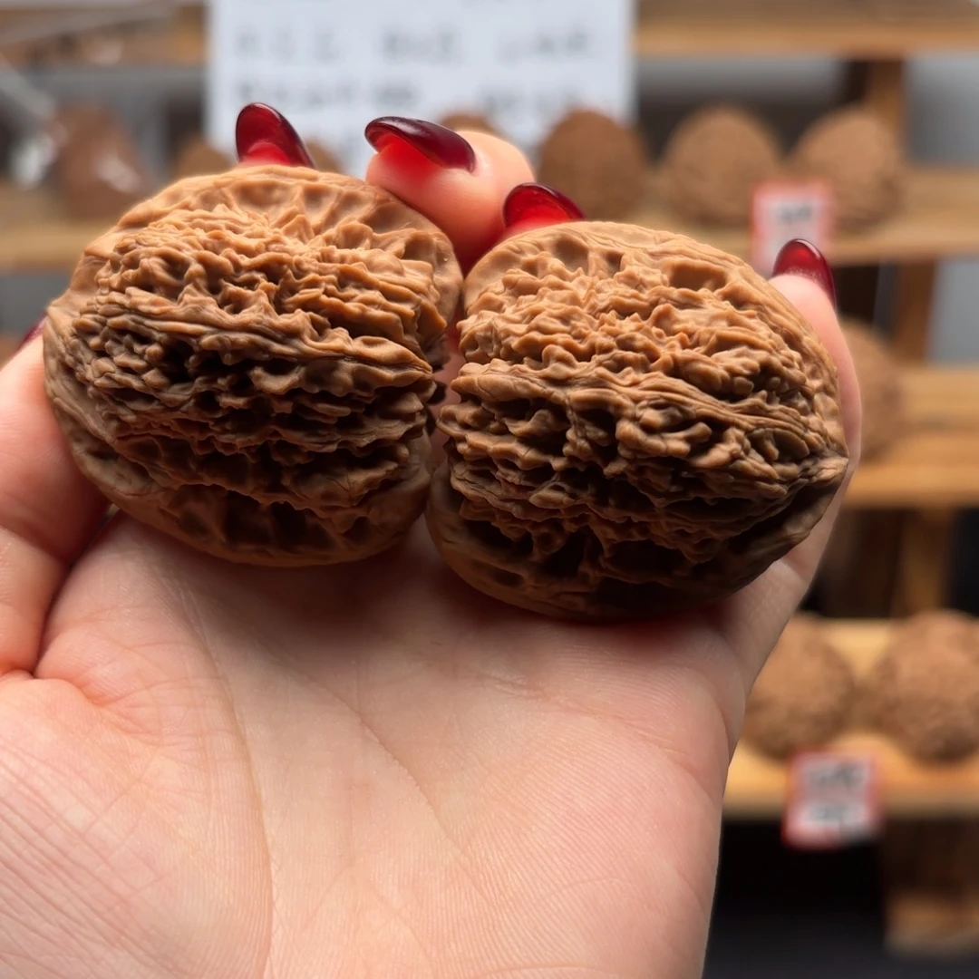 开***塔核桃涿鹿一代南疆43