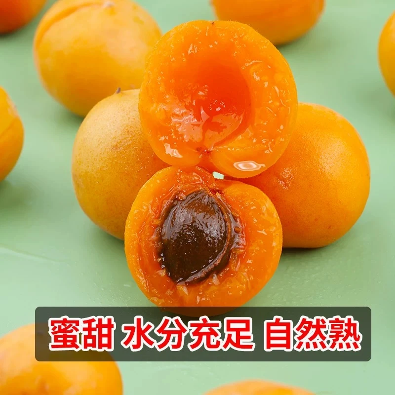 新疆吊干杏500g一盒嘎嘎甜