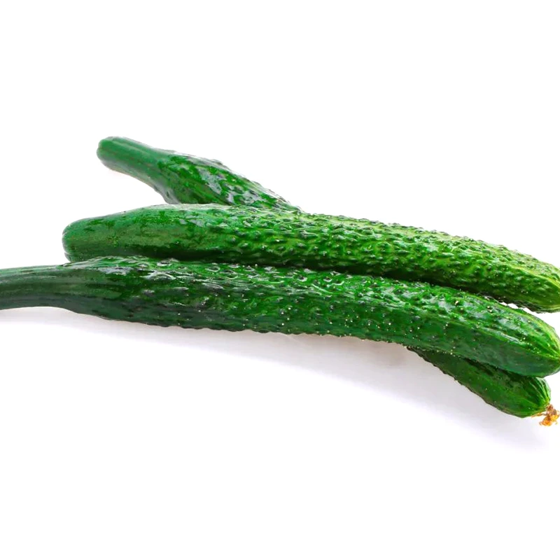 黄瓜1根 约220g（产地聊城）