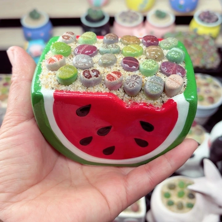 536零下地区记得拍保温箱