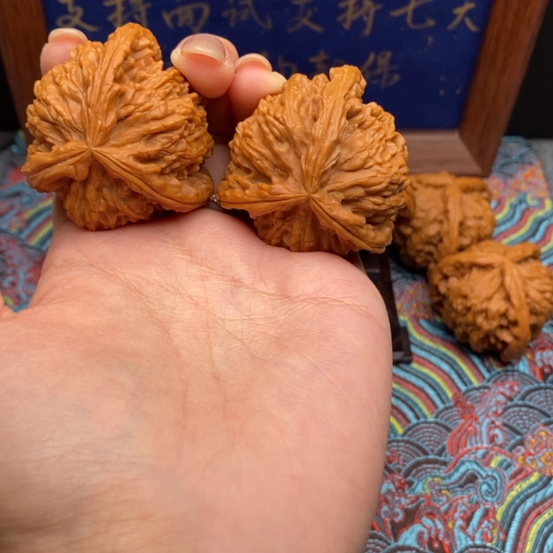 【闪购商品】尘*白狮