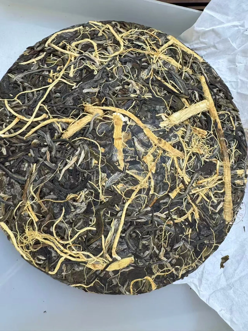 【郑董源头收好茶】人参冰岛古茶