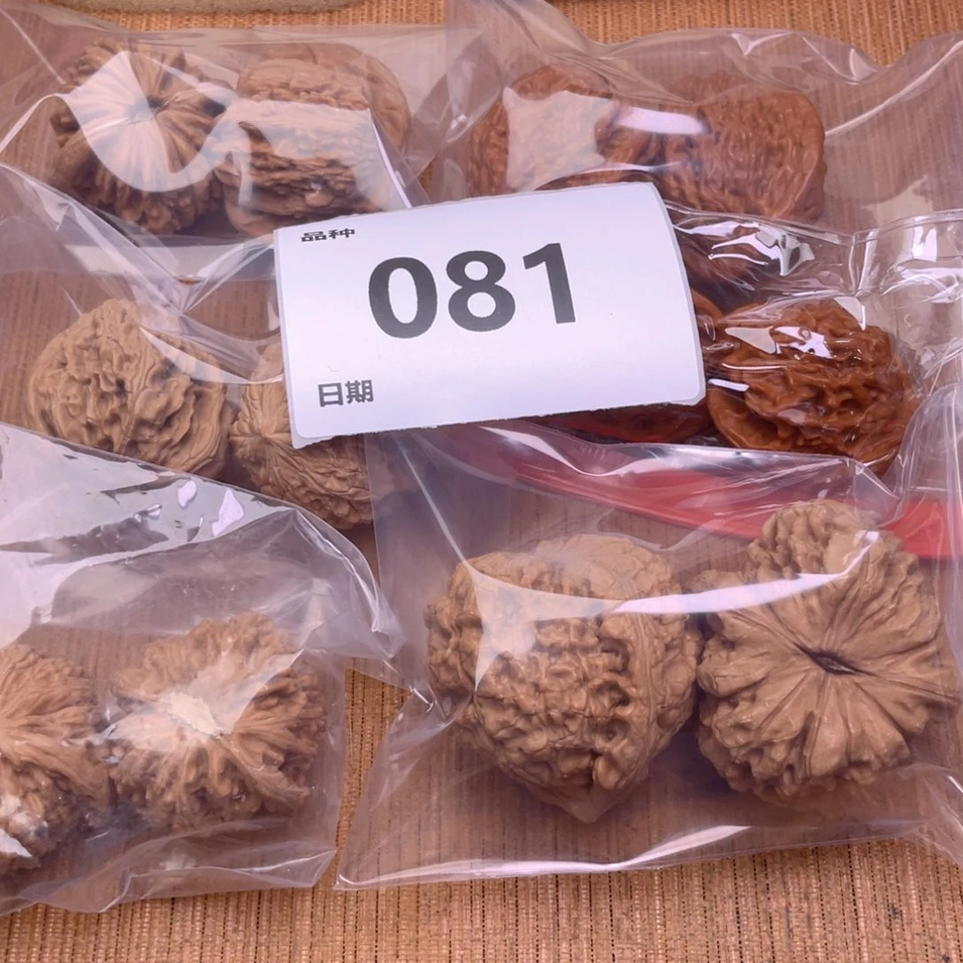 文玩核桃把件81号6对带练手龙鼎